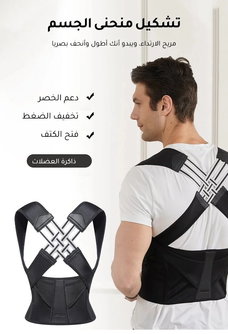  حزام الظهر
